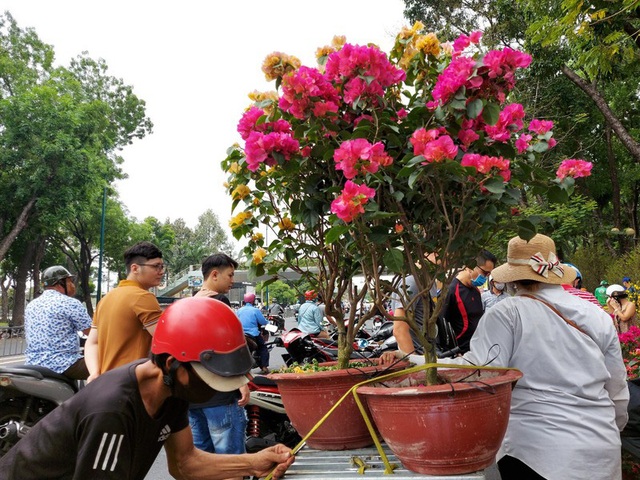 Ngày 30 Tết: Tấp nập mua bán, cây kiểng cháy hàng - Ảnh 8.