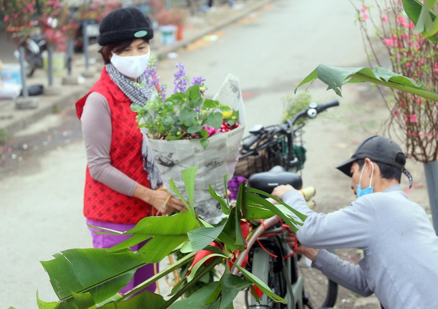 Người dân Thủ đô tranh nhau mua đào mini giá rẻ cắm chơi - Ảnh 13.