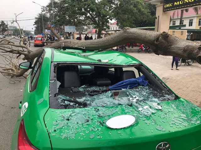  Nam tài xế và khách thoát chết hi hữu khi bị cây xanh gãy đè bẹp xe taxi  - Ảnh 2.