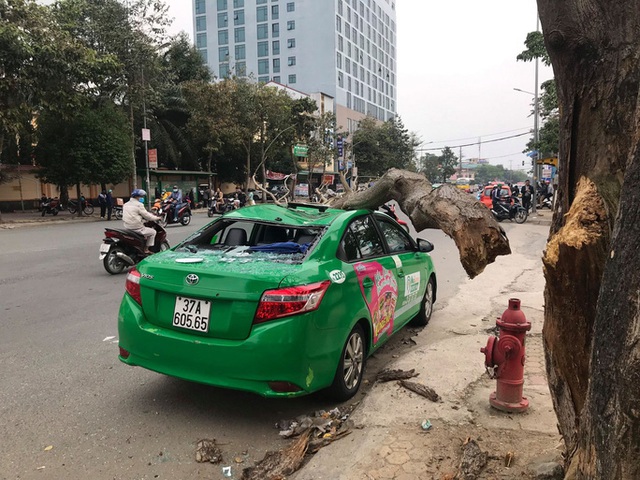  Nam tài xế và khách thoát chết hi hữu khi bị cây xanh gãy đè bẹp xe taxi  - Ảnh 3.