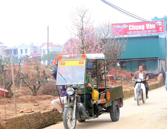 Vừa hết Tết, vựa đào lớn nhất miền Bắc lại tất bật chuẩn bị vụ mới - Ảnh 7.