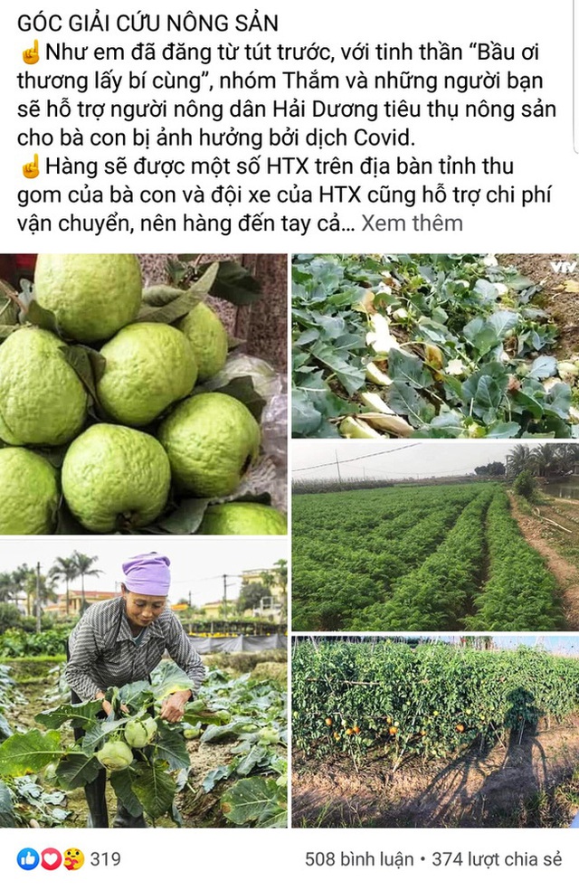 Dân mạng chung tay giải cứu nông sản giúp bà con nông dân Hải Dương, nhìn giá mà thương quặn lòng! - Ảnh 3.