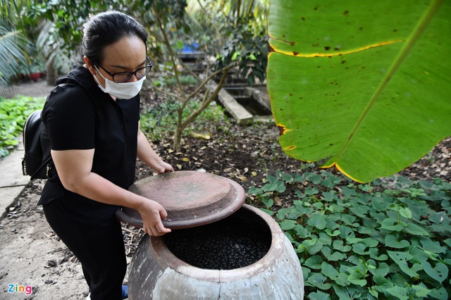 Vườn cây của nguyên Phó thủ tướng Trương Vĩnh Trọng - Ảnh 6.