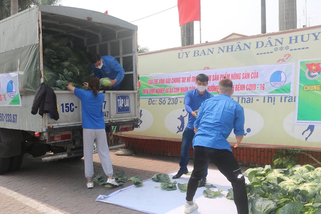 Hải Phòng: Người nông dân mừng phát khóc vì “giải cứu” được nông sản trong dịch COVID-19 - Ảnh 7.