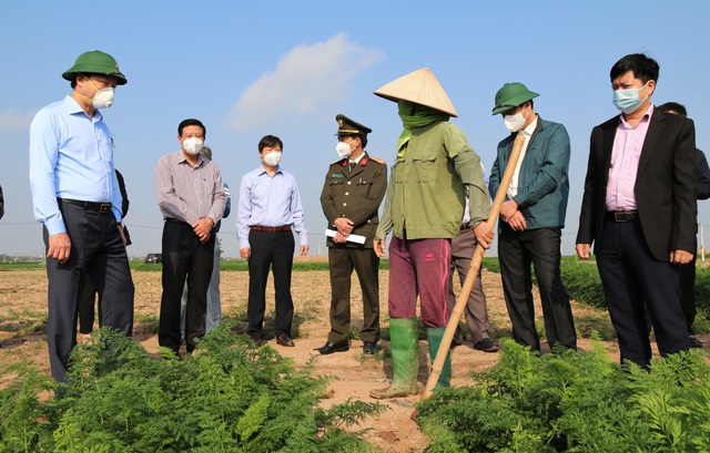 Hải Dương: Tìm đường đi cho nông sản trong tình hình dịch bệnh hoành hành - Ảnh 3.