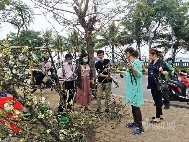 Hà Thành mua hoa lê chơi Rằm, dân buôn bán hết veo 1.000 cành - Ảnh 5.