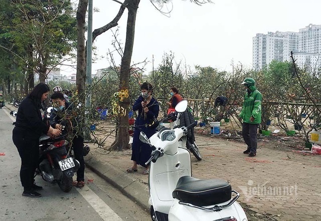 Hà Thành mua hoa lê chơi Rằm, dân buôn bán hết veo 1.000 cành - Ảnh 6.