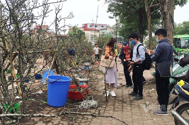 Hà Thành mua hoa lê chơi Rằm, dân buôn bán hết veo 1.000 cành - Ảnh 7.