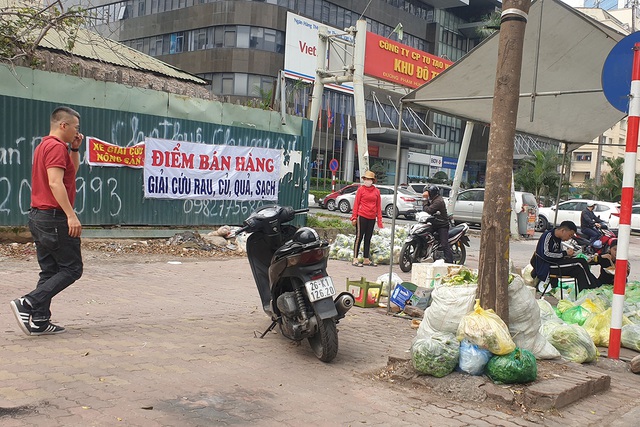 Hà Nội: Các điểm giải cứu nông sản xuất hiện khắp nơi - Ảnh 9.