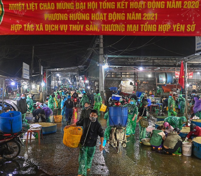 Cá chép tăng giá gây sốc trước ngày ông Công ông Táo, cao hơn hẳn mọi năm - Ảnh 1.