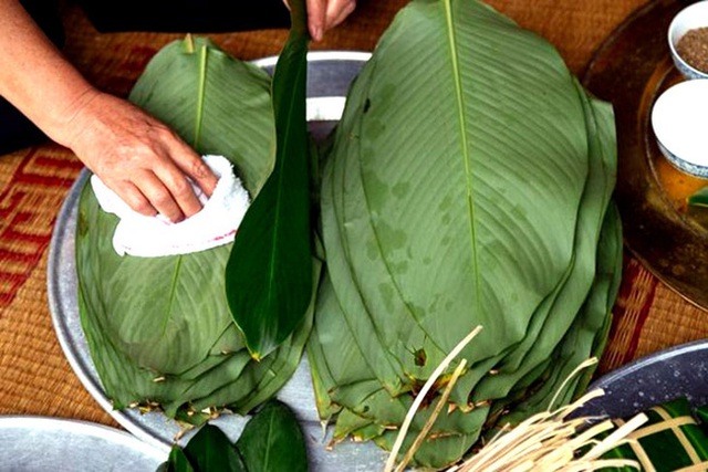 Ngoài gói bánh chưng, chuyên gia tiết lộ lá dong còn có thể chữa bệnh theo cách này nhưng không phải ai cũng biết - Ảnh 1.