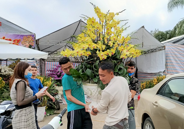Hoa lan Trung Quốc tr&agrave;n ngập, đắt đỏ ngang ngửa lan Đ&agrave; Lạt - Ảnh 12.