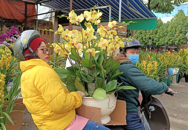 Hoa lan Trung Quốc tr&agrave;n ngập, đắt đỏ ngang ngửa lan Đ&agrave; Lạt - Ảnh 5.