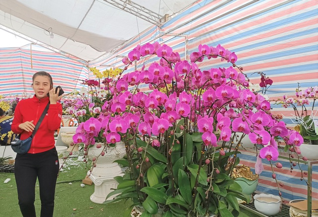 Hoa lan Trung Quốc tr&agrave;n ngập, đắt đỏ ngang ngửa lan Đ&agrave; Lạt - Ảnh 9.