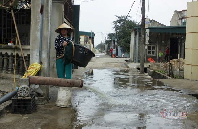 Cúng ông Công, ông Táo: Cá chép đỏ đắt gấp đôi, vét ao thu trăm triệu - Ảnh 9.