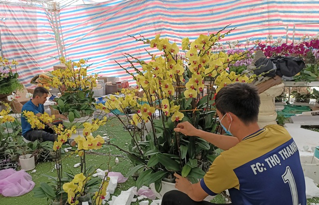 Hoa lan Trung Quốc tr&agrave;n ngập, đắt đỏ ngang ngửa lan Đ&agrave; Lạt - Ảnh 11.
