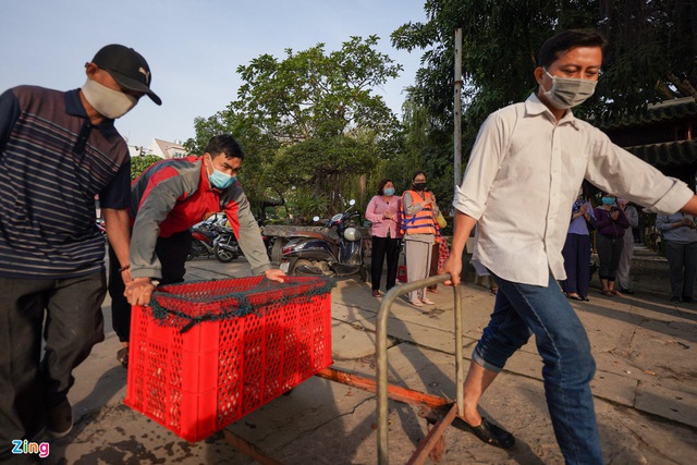 Phóng sinh hơn 1 tấn cá trê xuống sông Sài Gòn - Ảnh 3.
