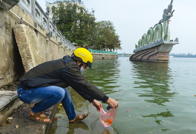  Người phụ nữ thả 3 con cá chép nặng gần 3kg xuống Hồ Tây tiễn ông Công, ông Táo về trời sớm - Ảnh 4.