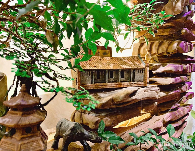 Căn hộ 56m² ấm nồng sắc xuân với cả trăm cây bonsai và hoa ngập tràn ở Hà Nội - Ảnh 15.