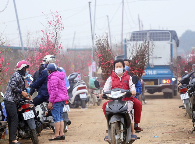 Hà Nội: Người dân ùn ùn kéo đến Nhật Tân giải cứu đào Tết - Ảnh 4.