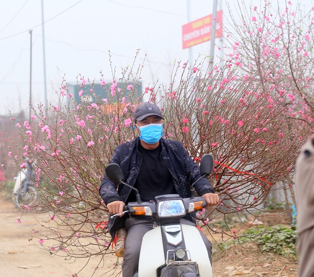 Hà Nội: Người dân ùn ùn kéo đến Nhật Tân giải cứu đào Tết - Ảnh 13.