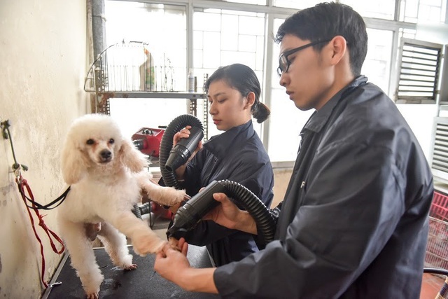 Chi bạc triệu chăm sóc thú cưng những ngày cận Tết - Ảnh 2. Chi bạc triệu chăm sóc thú cưng những ngày cận Tết - Ảnh 2.