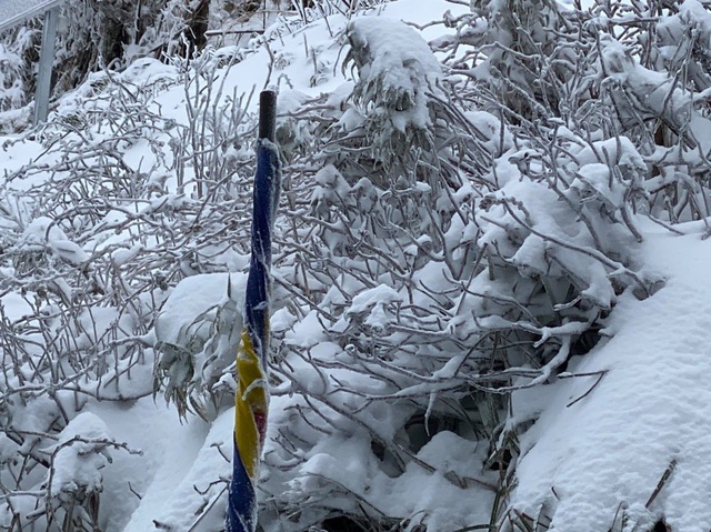 Sa Pa dưới 0 độ C, tuyết tiếp tục rơi trên đỉnh Fansipan - Ảnh 13.