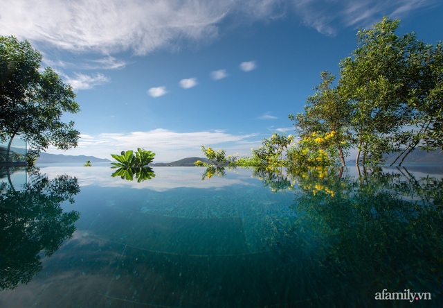 Ngôi nhà hướng biển đẹp lịm tim với bể bơi vô cực ở Nha Trang - Ảnh 3.