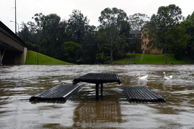  Sydney gặp họa lớn, dân sơ tán khẩn cấp trong đêm  - Ảnh 2.