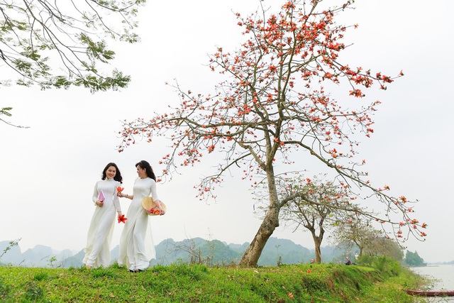 Ngắm bộ ảnh cây hoa gạo bên hồ Quan Sơn đẹp như tiên cảnh - Ảnh 5.