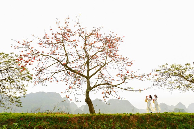 Ngắm bộ ảnh cây hoa gạo bên hồ Quan Sơn đẹp như tiên cảnh - Ảnh 4.