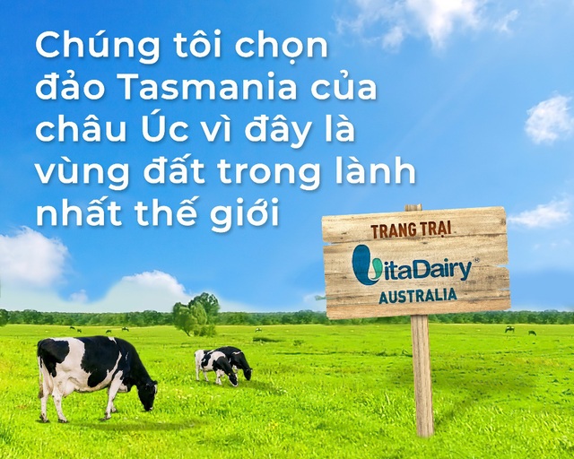 Trang trại bò sữa Việt Nam tại hòn đảo sạch nhất thế giới Tasmania, Australia - Ảnh 1.