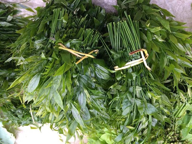 Món rau lạ trên rừng về Hà Nội, 200 nghìn/kg vẫn ‘cháy hàng’ - Ảnh 4.