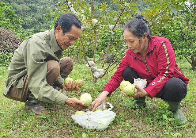 Từ kẻ mang tội giết người thành triệu phú nông dân - Ảnh 1.