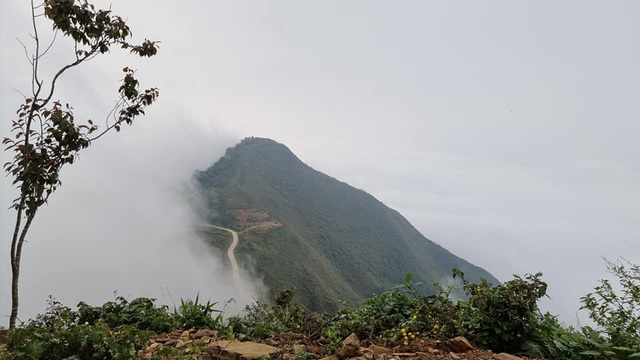 Lên đỉnh Tà Xùa săn mây - Ảnh 2.