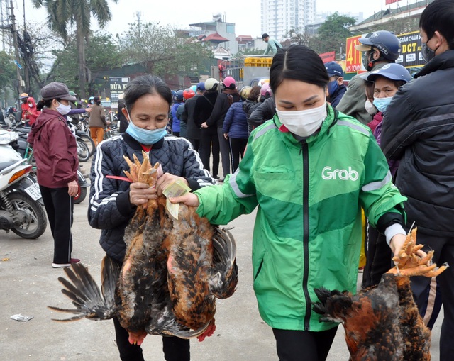 Giá chỉ 55.000 đồng/kg, người dân Thủ đô xếp hàng giải cứu gà đồi Chí Linh - Ảnh 11.