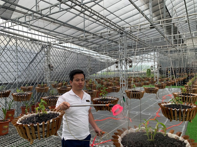 Bí quyết thành công của ông chủ vườn lan Tuan Linh - Ảnh 2.