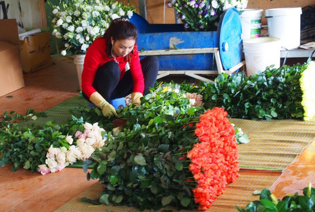 Gi&aacute; hoa hồng Đ&agrave; Lạt tăng vọt dịp 8/3 - Ảnh 3.