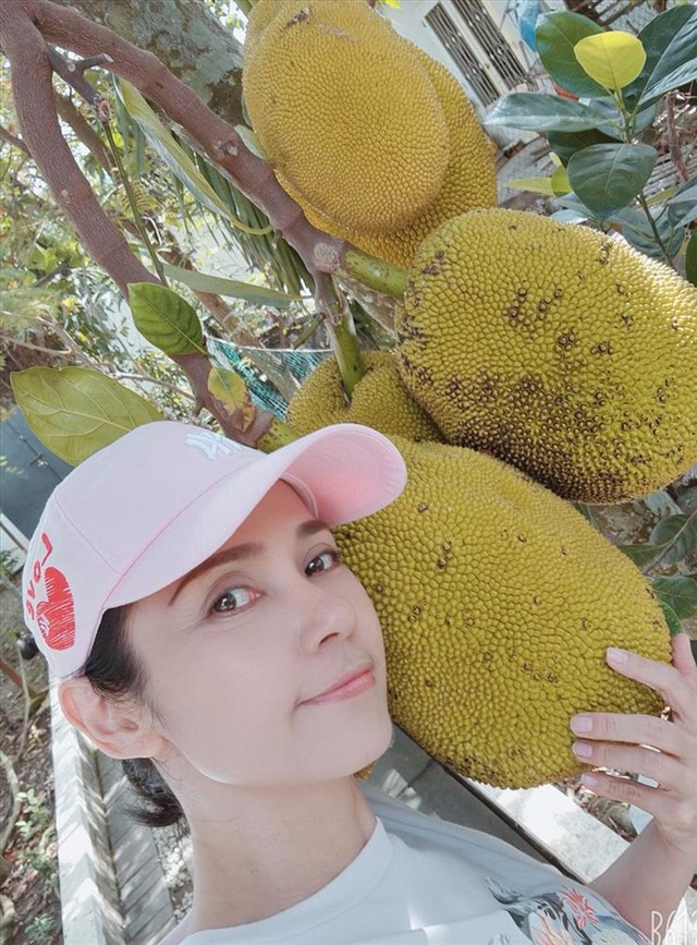Cùng Việt Trinh thu hoạch quả, rau trong vườn rộng 2.500m2 của nữ diễn viên - Ảnh 2.