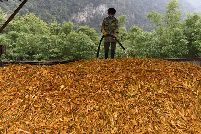 Thanh Hóa: Đã phát hiện hàng loạt công ty xả thải ra sông Mã - Ảnh 1.