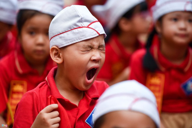 ‘Ép con ôn thi quá sức khác gì bắt ăn ngày 20 bát cho nhanh lớn’ - Ảnh 2.