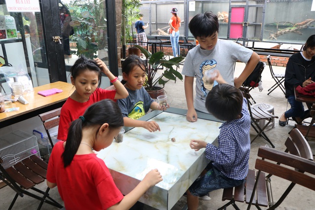 Trẻ em Sài Gòn háo hức đến quán cà phê độc nhất vô nhị chơi đùa với thú cưng tiền tỷ - Ảnh 6.