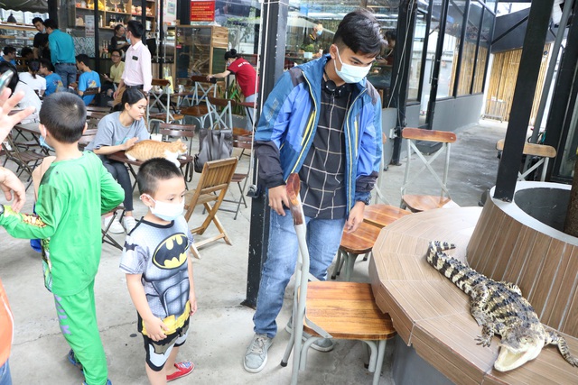 Trẻ em Sài Gòn háo hức đến quán cà phê độc nhất vô nhị chơi đùa với thú cưng tiền tỷ - Ảnh 5.