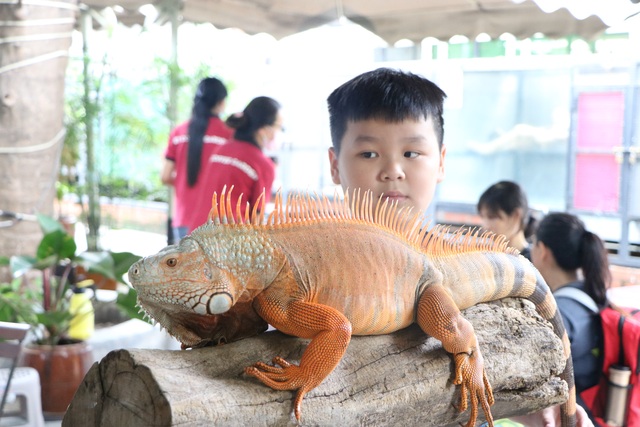 Trẻ em Sài Gòn háo hức đến quán cà phê độc nhất vô nhị chơi đùa với thú cưng tiền tỷ - Ảnh 4.