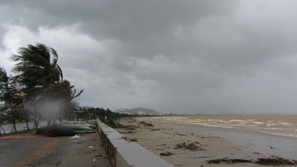 Diễn biến kịch tính của bão Haiyan trong ngày 10/11 28