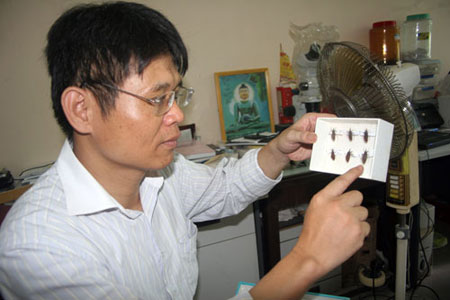 Kinh hãi bọ xít hút máu “tái xuất” tại quận Thanh Xuân, Hà Nội 3