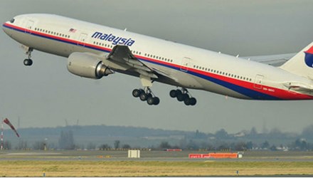 Tình tiết mới nhất: Đã tìm ra thủ phạm bắn hạ máy bay MH17? 6