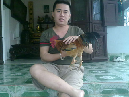 Ảnh hiếm về g&agrave; ch&iacute;n cựa mới nở 6