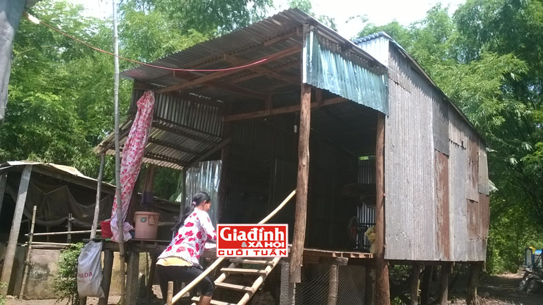 Cha mẹ nghèo đau khổ trước tin đồn ác nghiệt sinh con có hai "của quý" 1