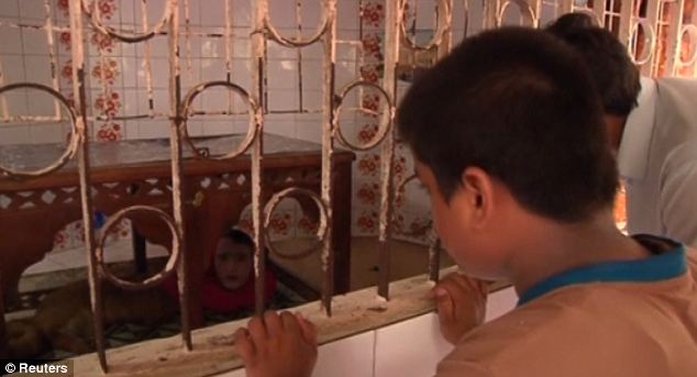 Sinh vật nửa người nửa c&aacute;o thu h&uacute;t h&agrave;ng ng&agrave;n người xem 2
